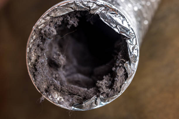 Best Air Duct Cleaning Near Me  in Homeland Park, SC