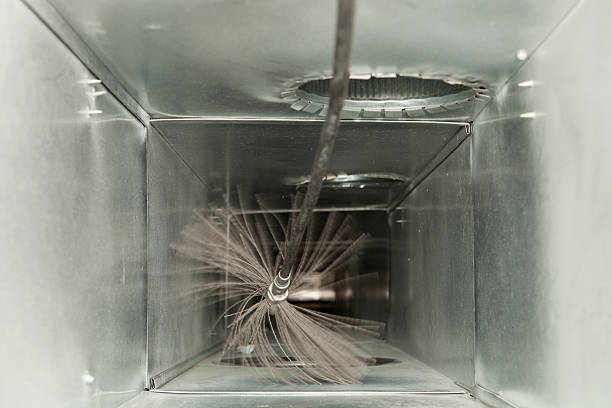 Air Duct Mold Removal in SC