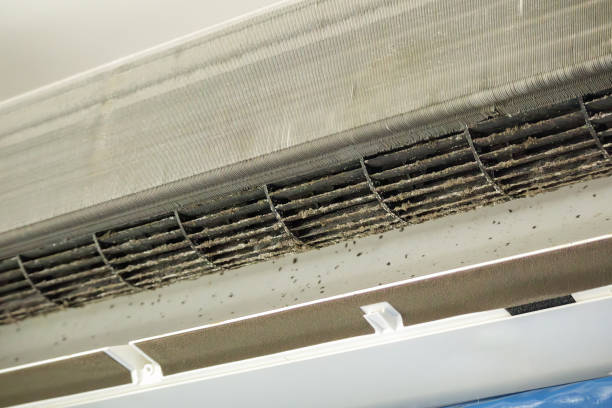 Best Emergency Air Duct Cleaning  in Homeland Park, SC